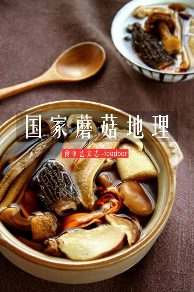 國家蘑菇地理：中國哪里的蘑菇最好吃？