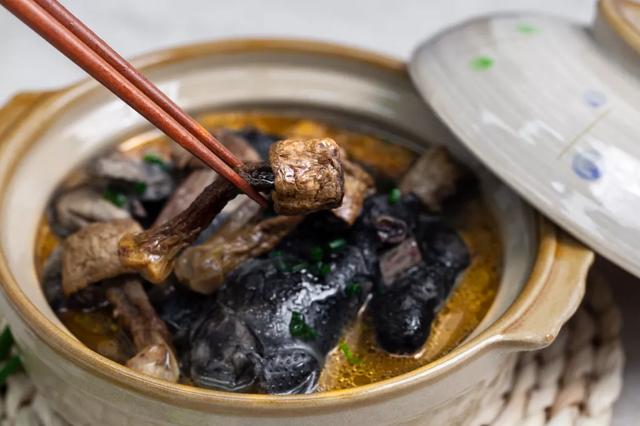國家蘑菇地理：中國哪里的蘑菇最好吃？