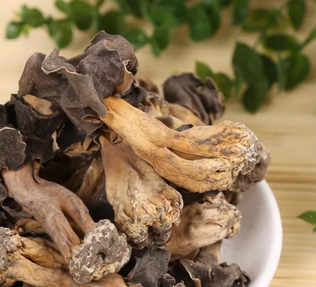 國家蘑菇地理：中國哪里的蘑菇最好吃？