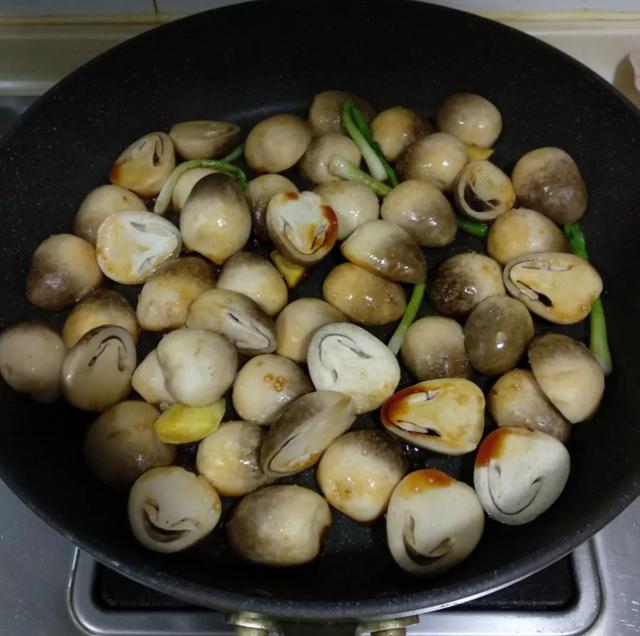國家蘑菇地理：中國哪里的蘑菇最好吃？